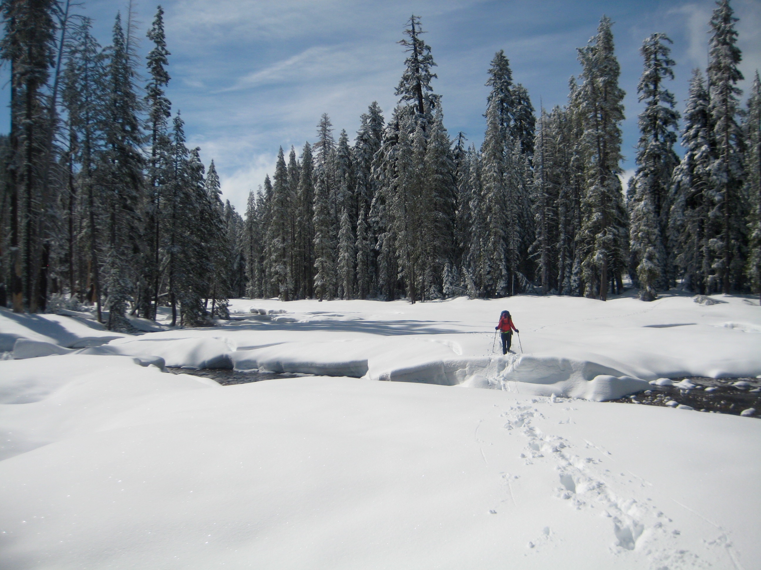 Backpacker hiking through deep snow in Turner Meadow on Day 5 of our Buena Vista Pass Loop in Yosemite National Park