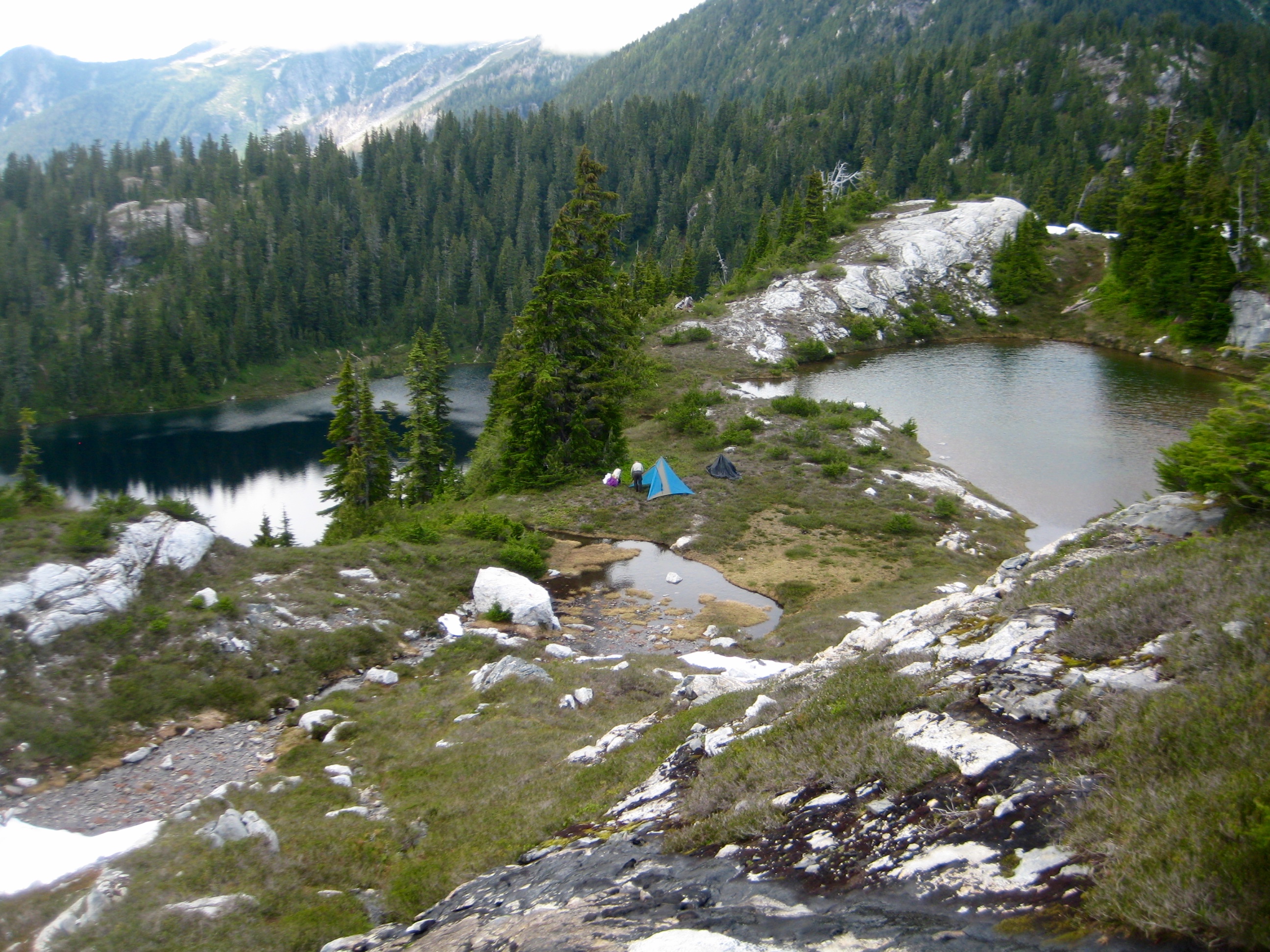 mountain climber's camp in the heather between Wilcox Lakes with granite slabs along the Isolation Traverse in the North Cascades