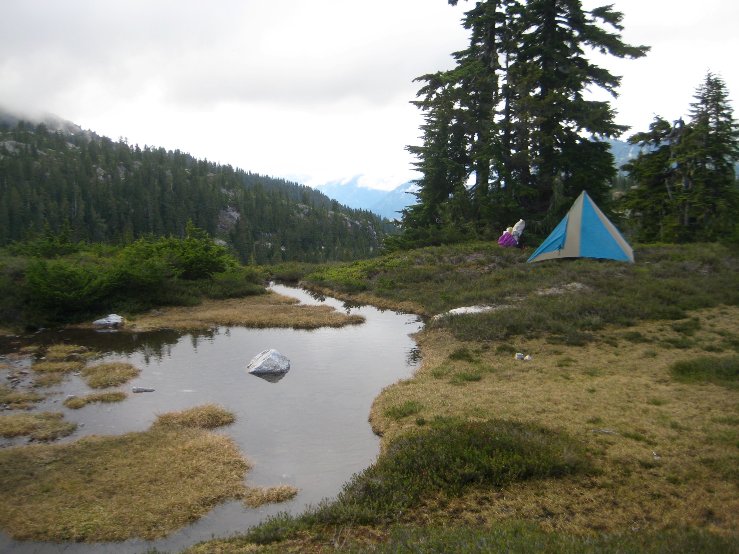 mountain climber's camp in the heather next to Wilcox Tarn along the Isolation Traverse in the North Cascades