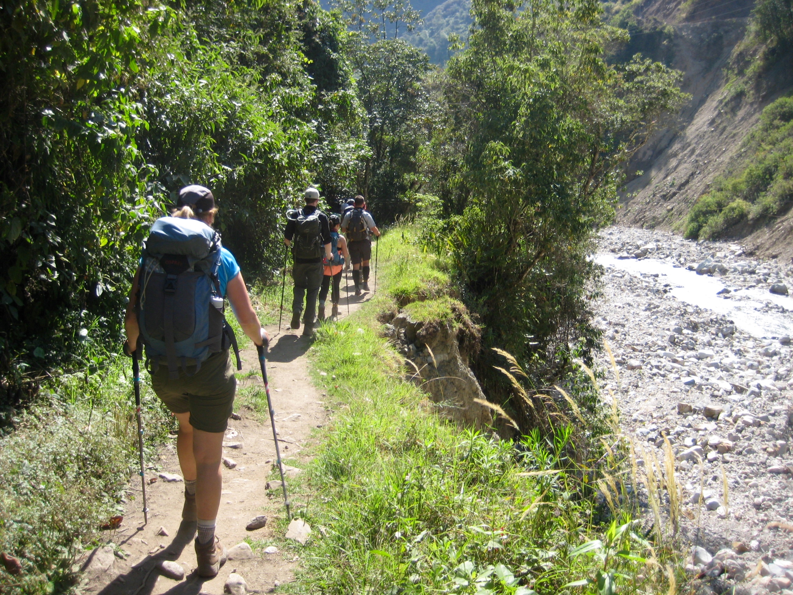 trekkers hiking thru Cloud Forest along St Teresa River heading to Machu Picchu