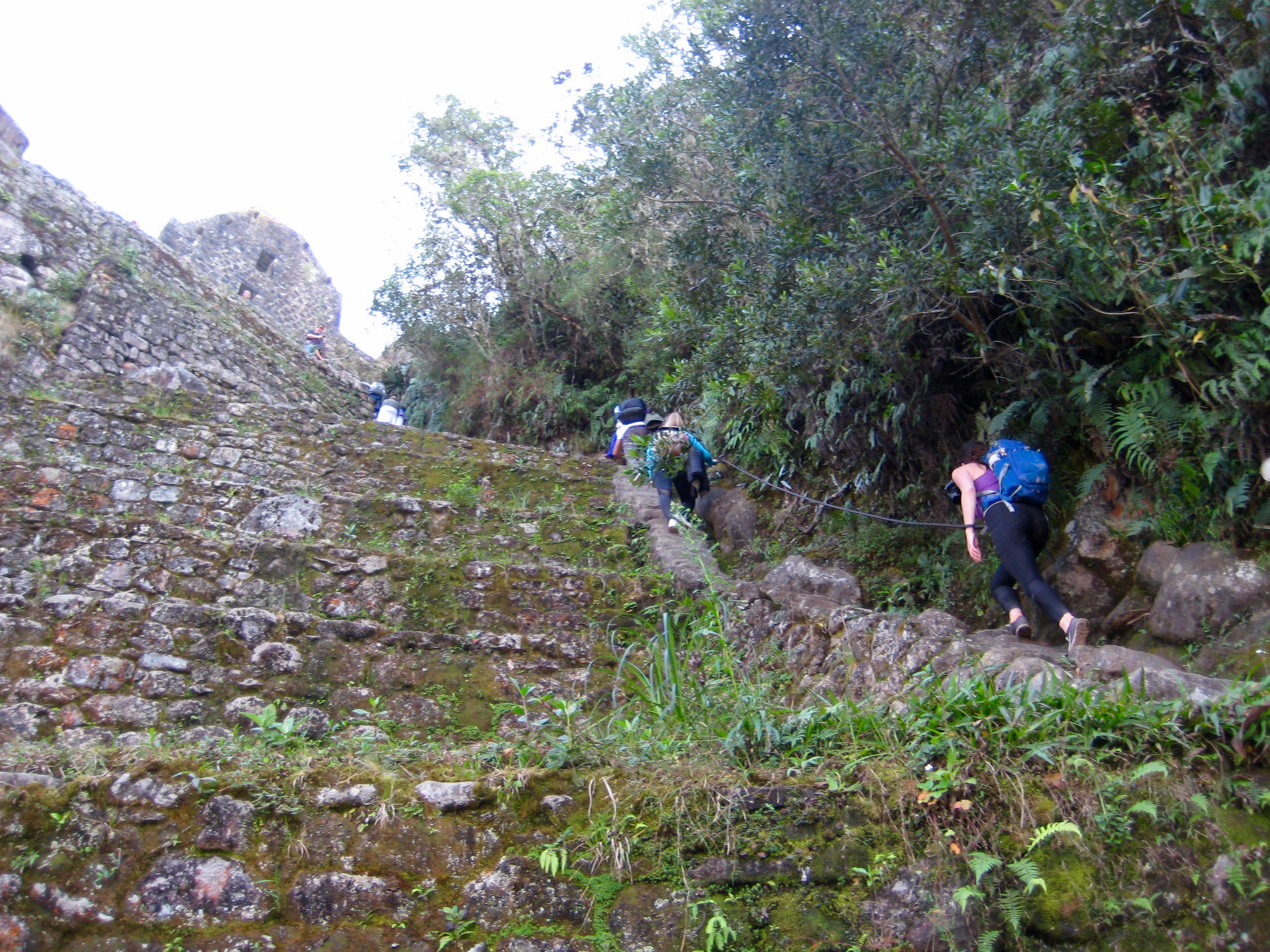 trekkers hiking up the rocky stairs of Wayna Picchu Mountain