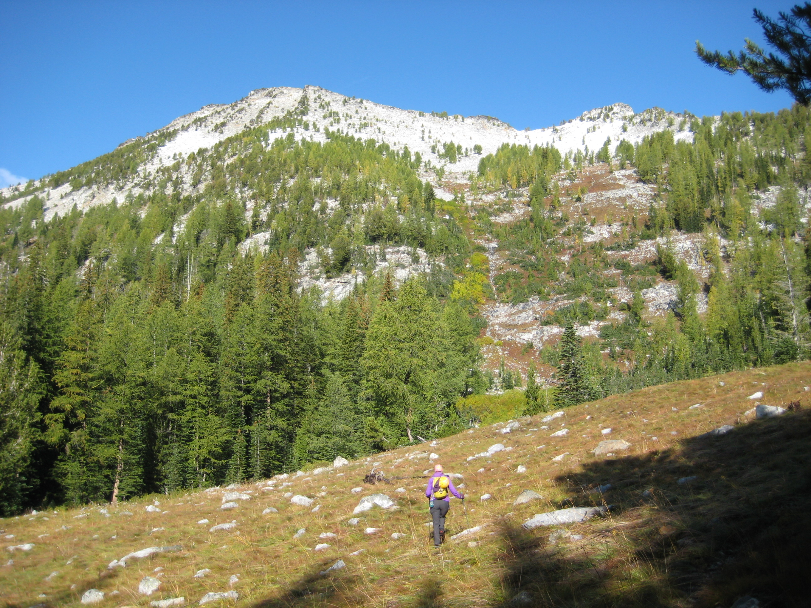 mountain climber crossing grassy field heading to Cheops Peak in the background