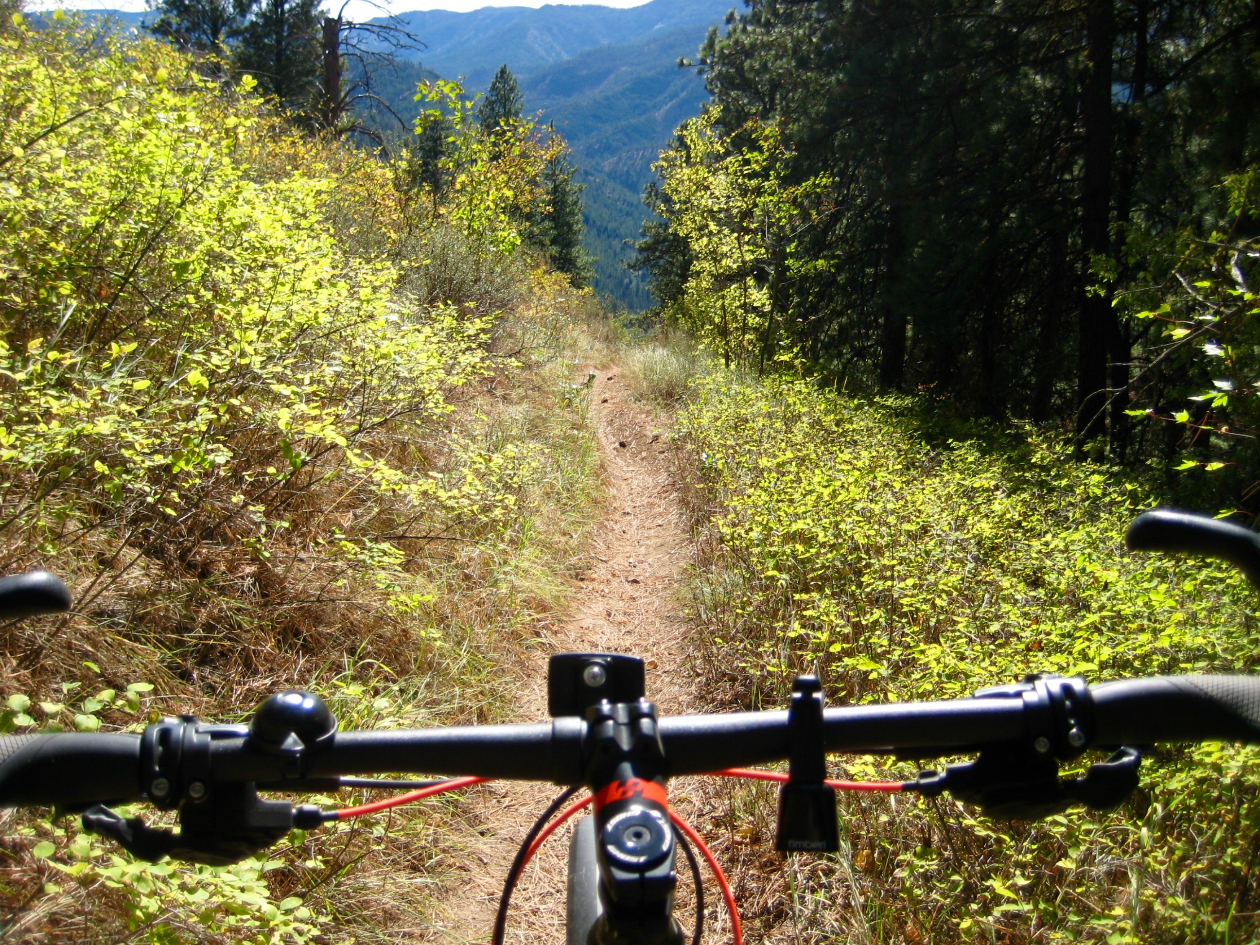 Mountain bike handle bars face fall grasses along the Red Devil Ridge trail in the Lower Wenatchee Mountains