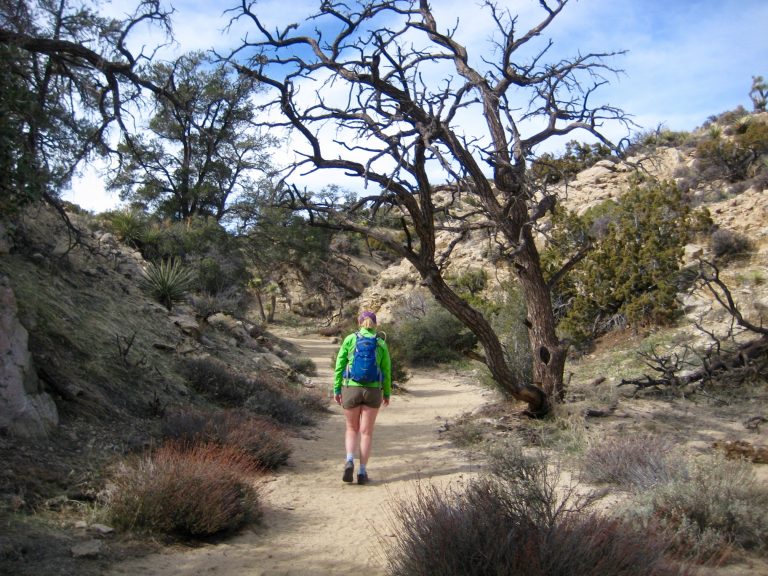 A lone hiker walks up a sandy trail in Black Rock Canyon toward Warren Peak in Joshua Tree National Park