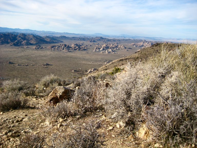 Looking across the desert of Joshua Tree National Park from the summit of Ryan Mountain