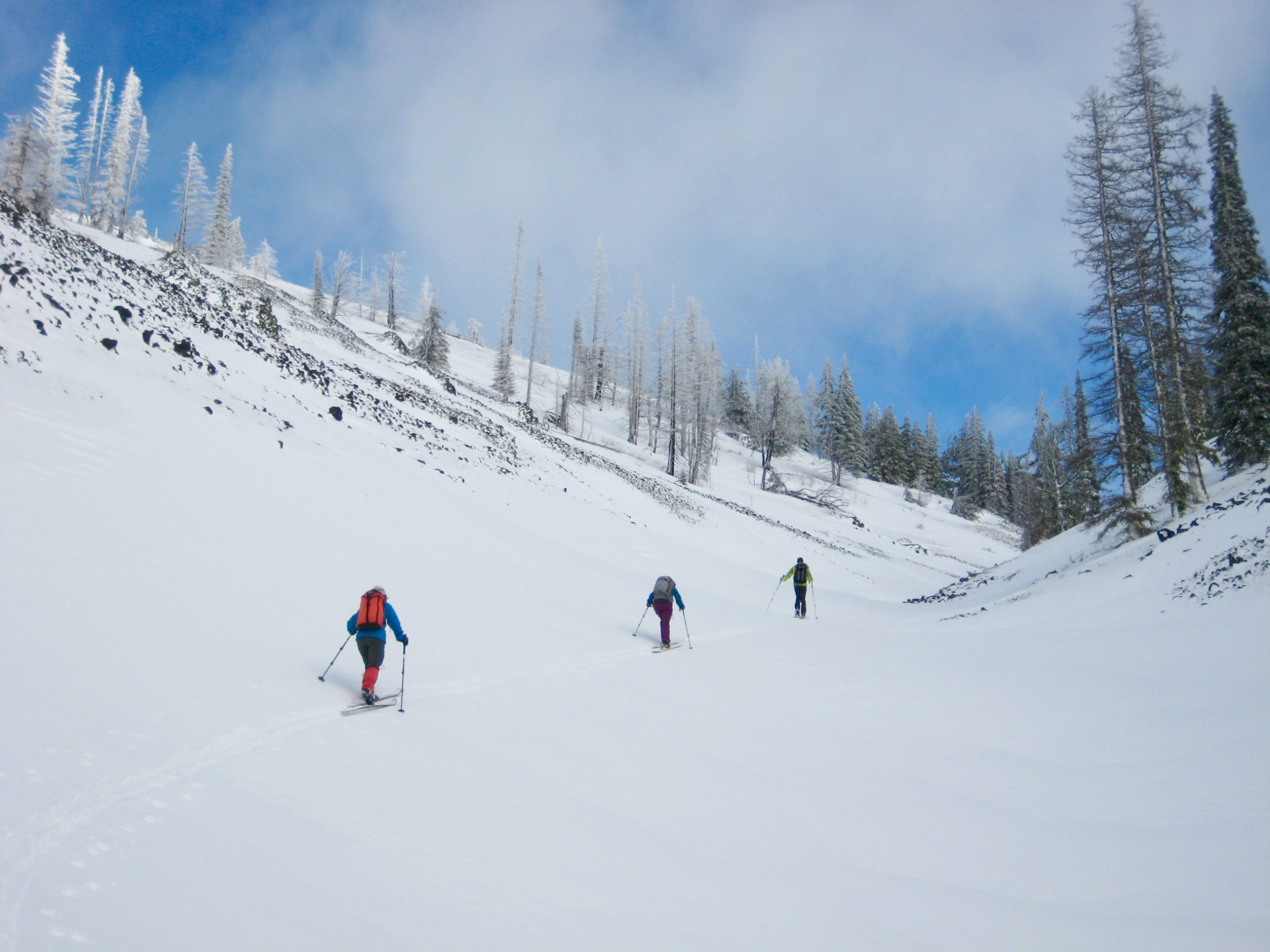 skiers skinning up snow through Windy Hollow on the Tronsen Head Ski Loop