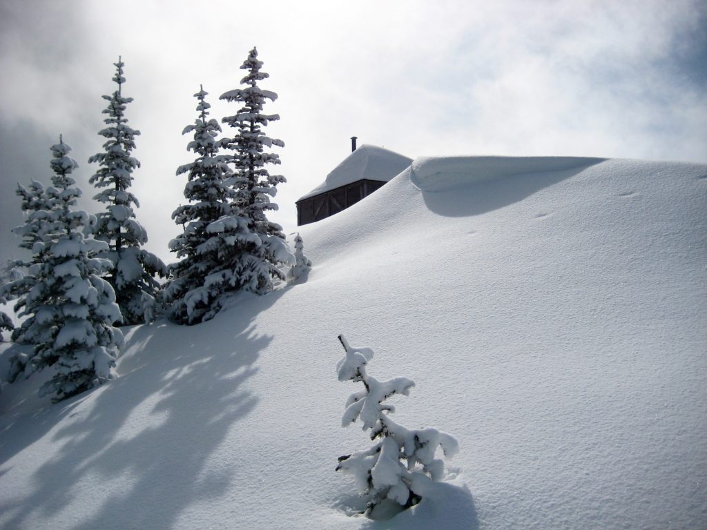 Deep snow slope with trees and the summit lookout cabin at Sun Top Lookout in the Clearwater Mountains