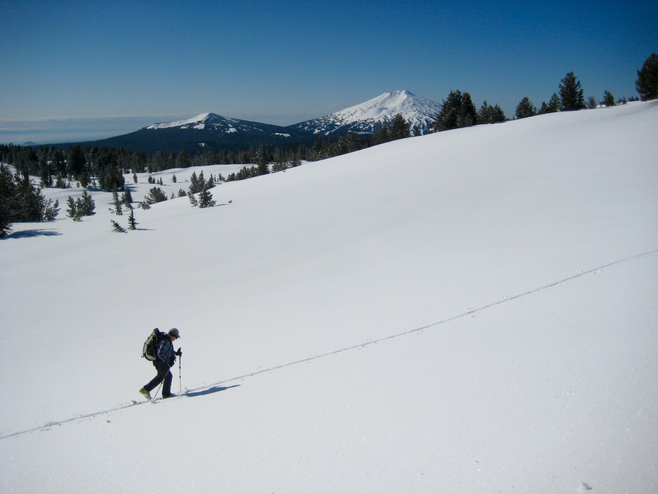 Skier open touring on Tam RIm Plateau
