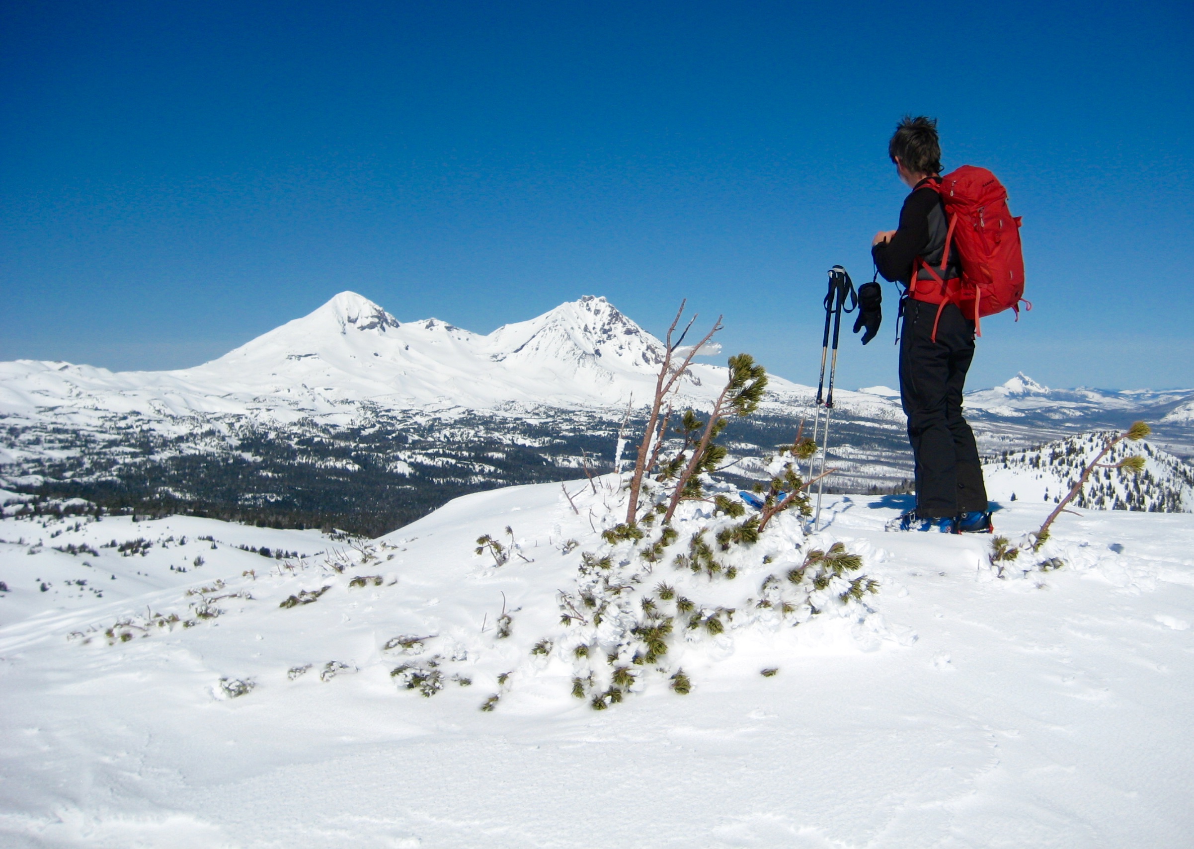 Skier with Middle and North Sister From Tam Rim Viewpoint