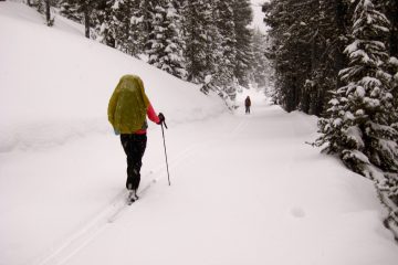 Two cross-country skiers travel down snowy road during Dutchman -- Three Creek Ski Traverse in Deschutes Mountains of central Oregon.