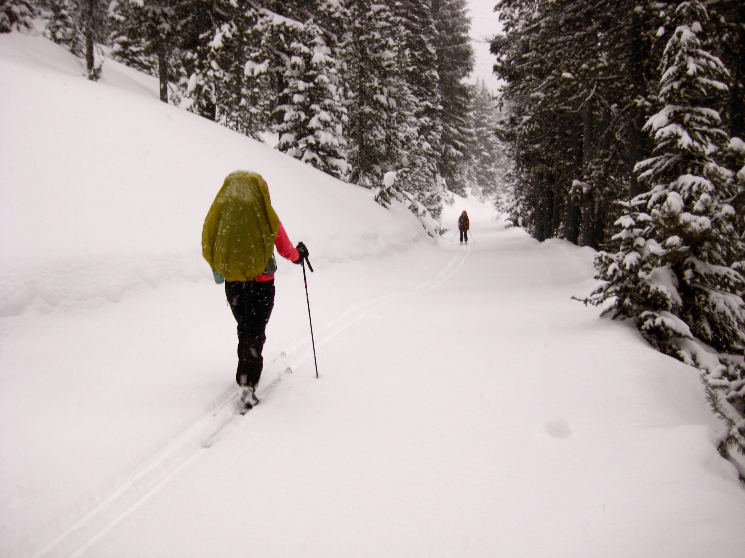Two cross-country skiers travel down snowy road during Dutchman -- Three Creek Ski Traverse in Deschutes Mountains of central Oregon.