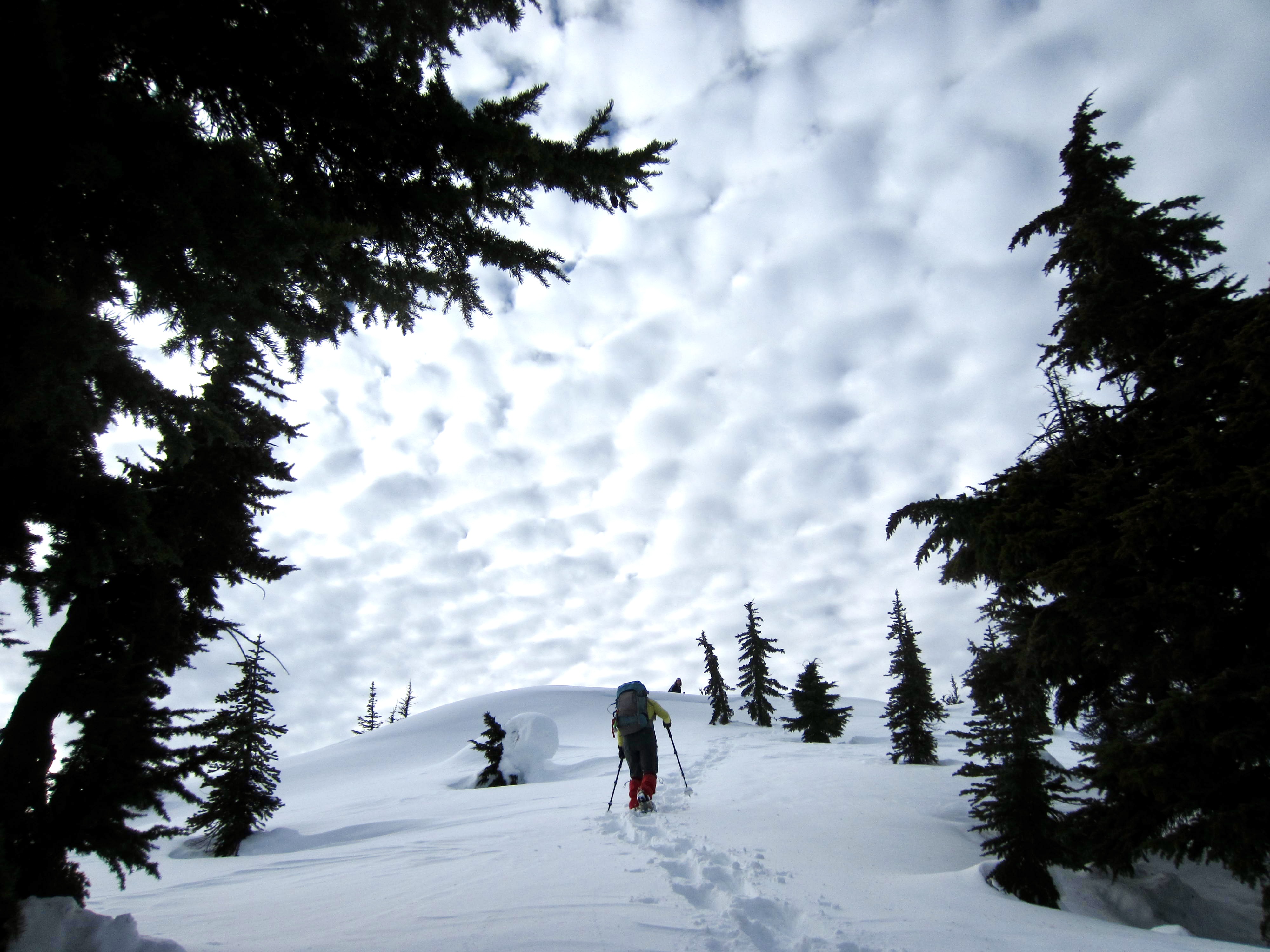 A snowshoer ascends a ridge to the summit of Arrowhead Mountain near Stevens Pass, WA