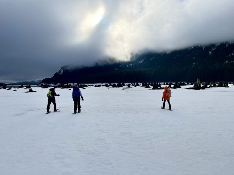 Three snowshoers walk across drawdown flats of Keechelus Lake, WA
