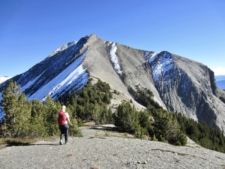 A lone hiker ascends a rounded ridge toward the summit of Beaverhead Peak in the Beaverfoot Range near Golden, BC.