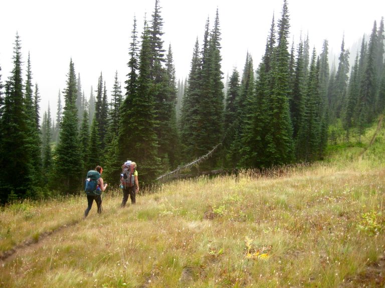 Two backpackers stroll through a grassy meadow on Frosty Ridge during the Bullseye Traverse in the Alpine Lakes Wilderness