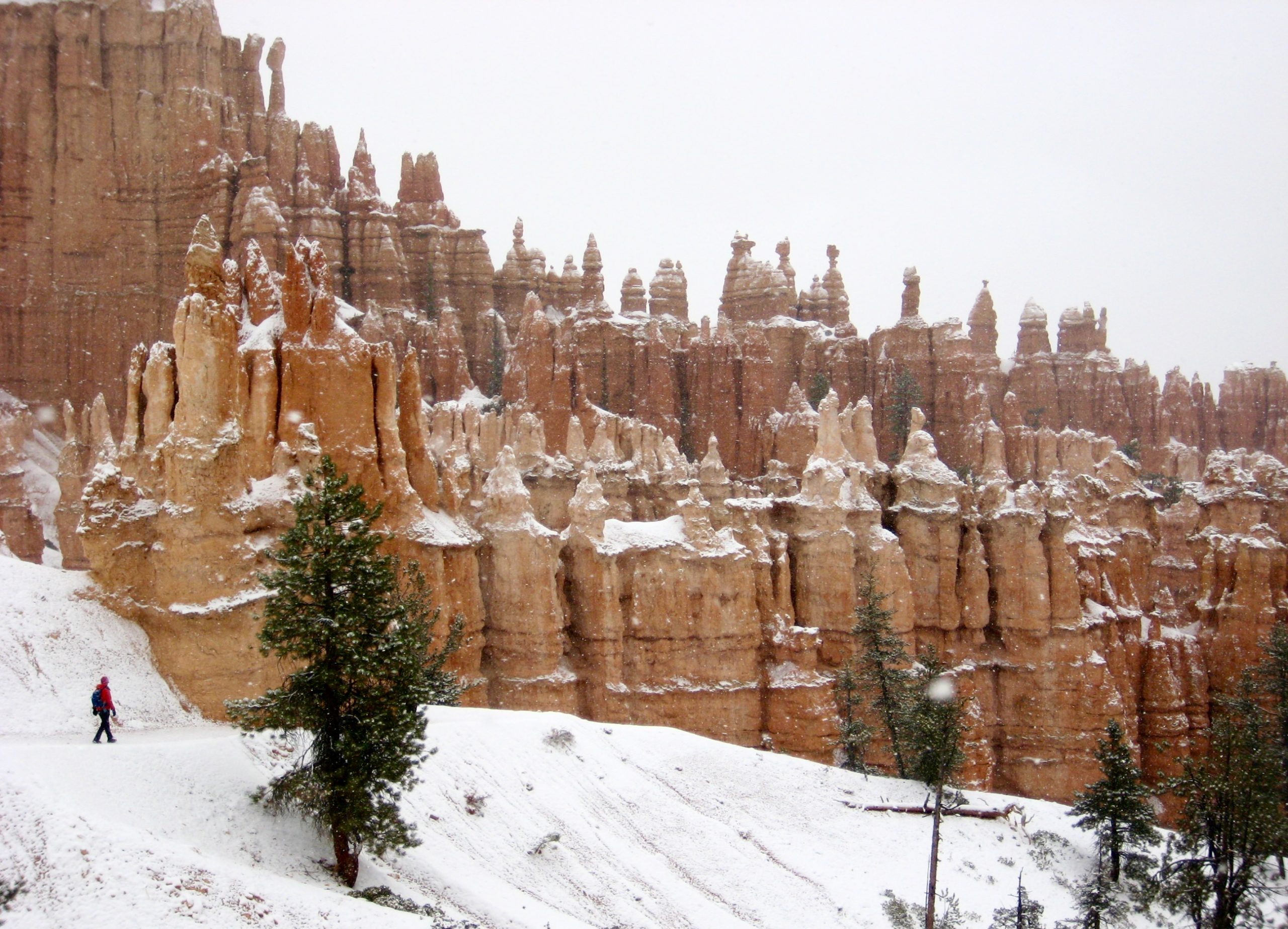 A row of limestone hoodoos tops the Wall of Windows on the Queens Garden--Peekaboo--Navajo Figure 8 Loop in Bryce Canyon National Park
