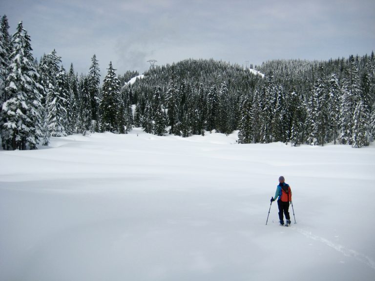 A backcountry skier stands at the edge of snow-covered Hyak Lake during the Nordic Pass Loop near Snoqualmie Pass, Washington