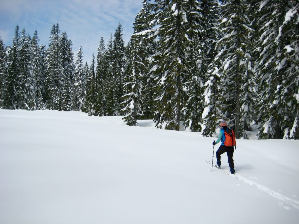 This image has an empty alt attribute; its file name is IMG_4482-1024x768.jpg