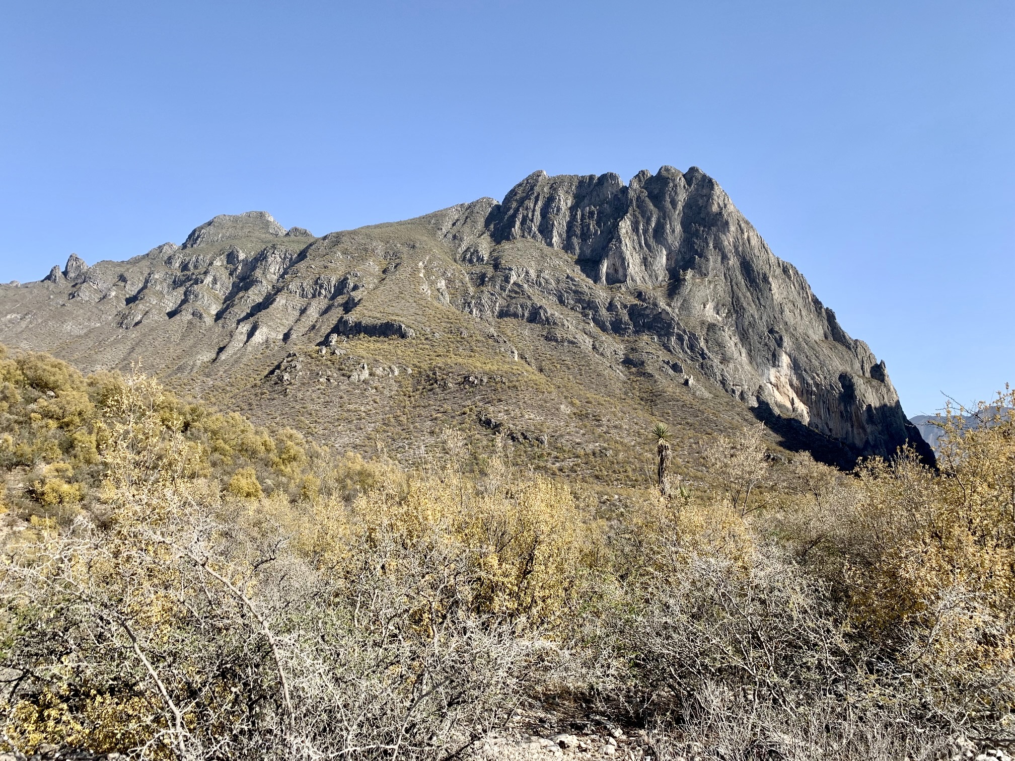 The summit of rocky El Toro stands above the arid slopes of Potrero Chico